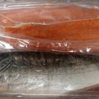 Fine Kettle fish in freezer 2 kinds