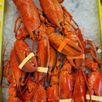 Fine Kettle o Fish cooked lobsters for sale