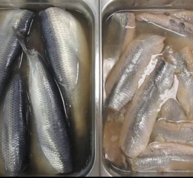 Fine Kettle o Fish herring