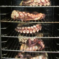 Fine Kettle o Fish octupus