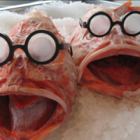 Fine Kettle o Fish two large fish with glasses