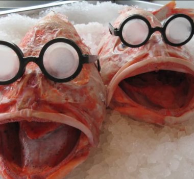 Fine Kettle o Fish two large fish with glasses